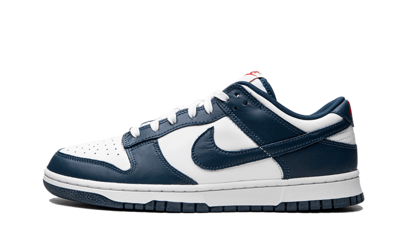 Nike Dunk Low - Valerian Blue