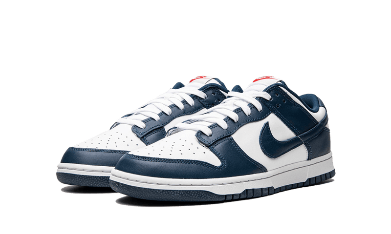 Nike Dunk Low - Valerian Blue