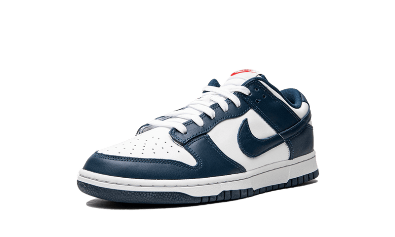 Nike Dunk Low - Valerian Blue